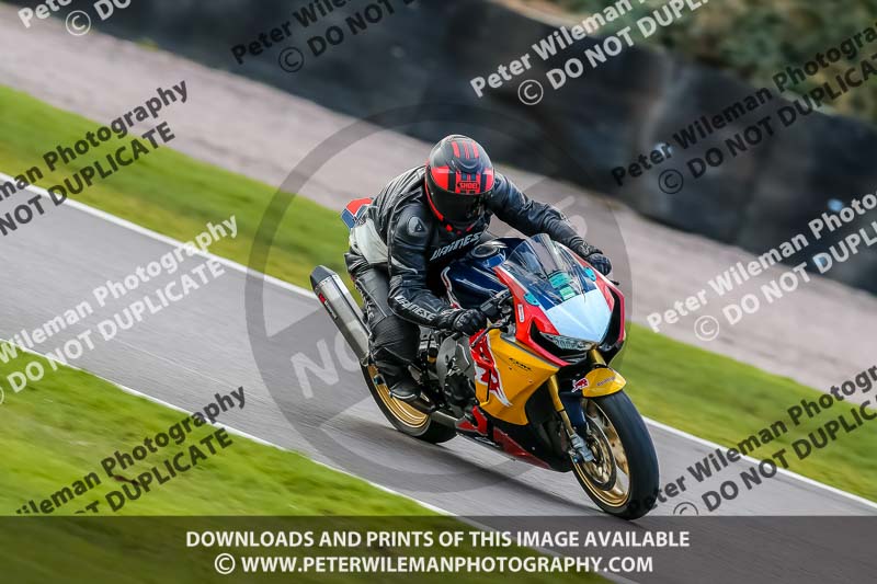 Oulton Park 20th March 2020;PJ Motorsport Photography 2020;anglesey;brands hatch;cadwell park;croft;donington park;enduro digital images;event digital images;eventdigitalimages;mallory;no limits;oulton park;peter wileman photography;racing digital images;silverstone;snetterton;trackday digital images;trackday photos;vmcc banbury run;welsh 2 day enduro